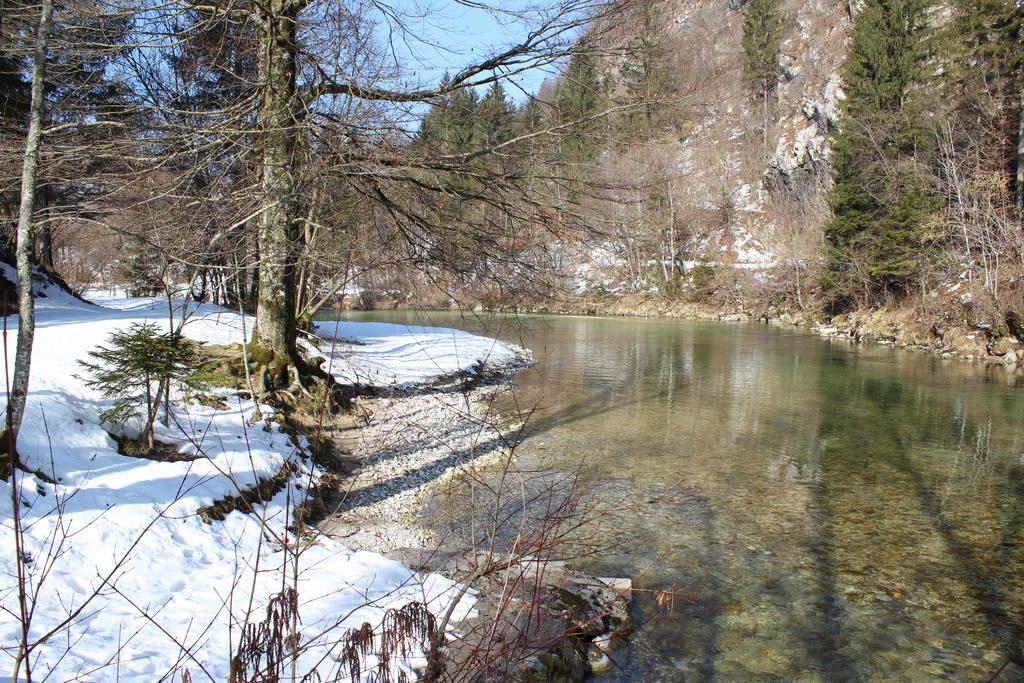 Apartments Villa Dov Bohinj Exteriér fotografie