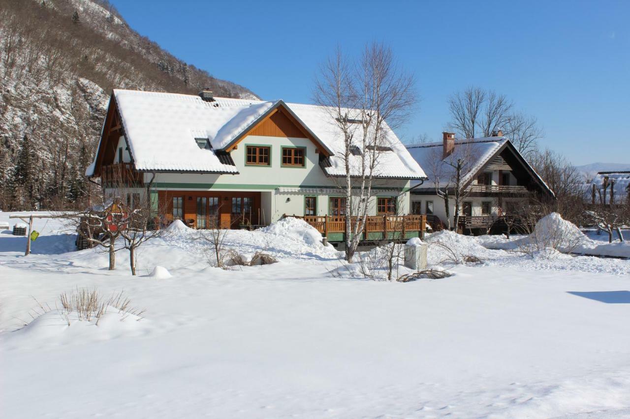 Apartments Villa Dov Bohinj Exteriér fotografie